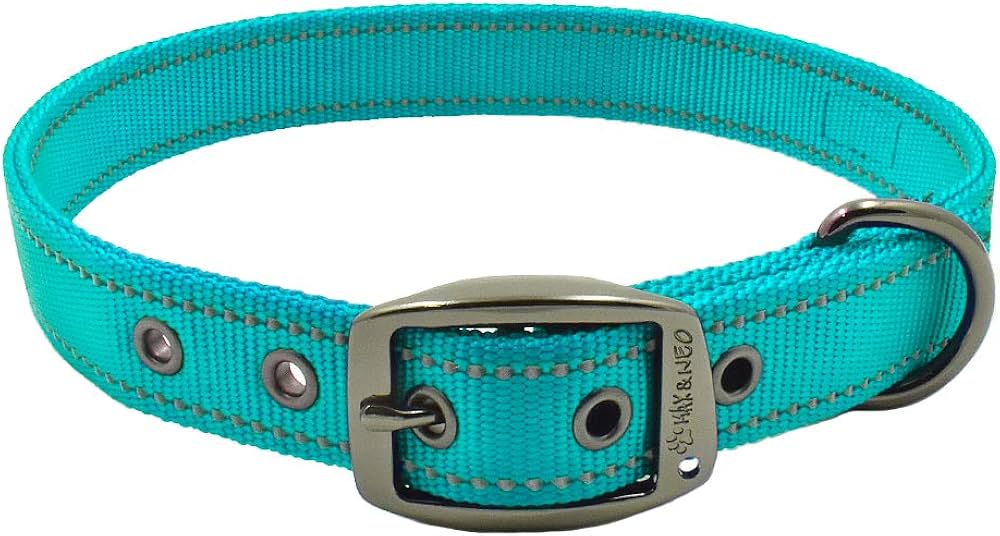 Dog Collar
